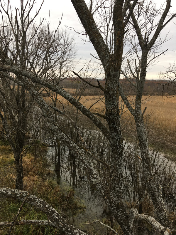 F5A38FE2-FB4F-4D7C-94B8-D5C796CC94C5