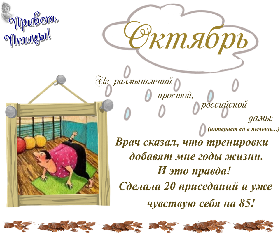 https://i.postimg.cc/bvpZNFwd/17-10.png