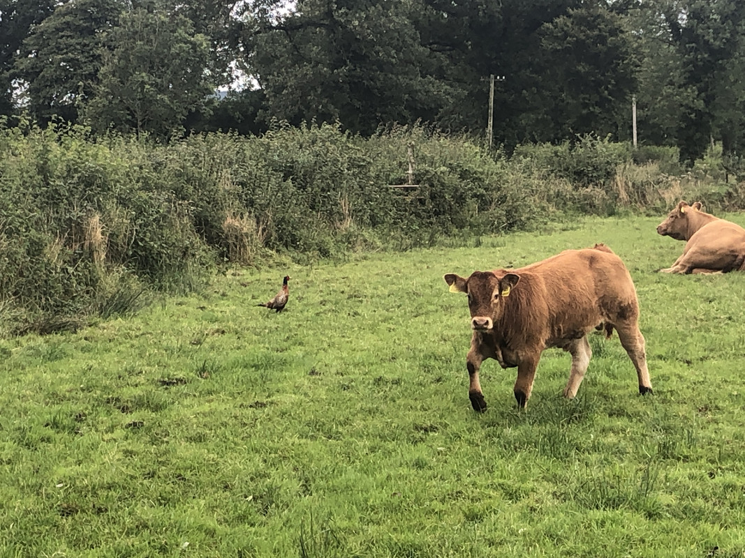 4CA9218D-C5CF-46C5-AD12-2202BCCB1523