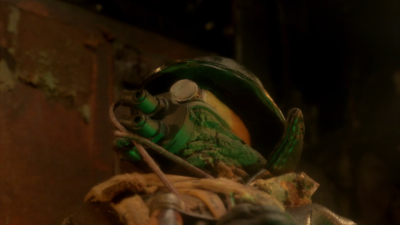 vlcsnap-2024-02-10-10h36m43s190