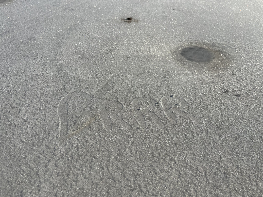 IMG-8834.jpg
