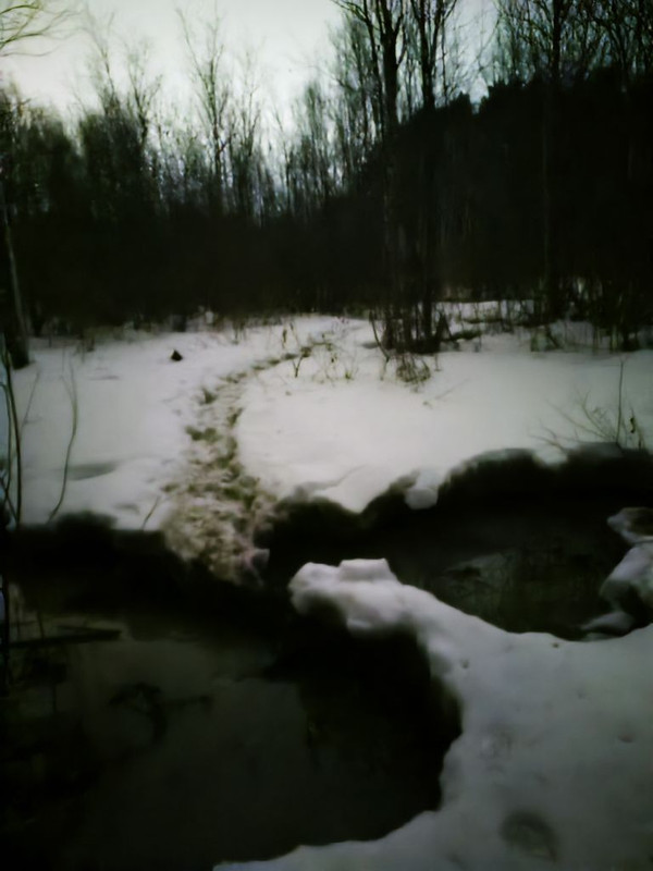 1000013655_20250322075728