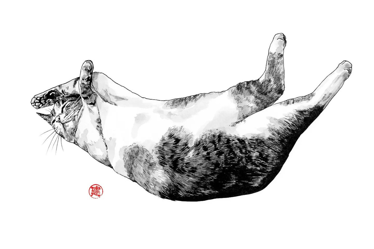 33