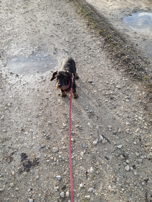 [Image: 20221221-154547.jpg]