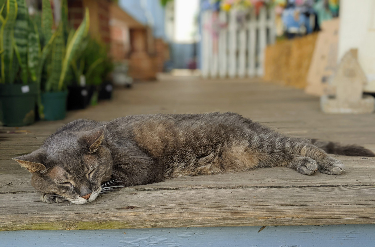 PXL_20210627_185313023.PORTRAIT