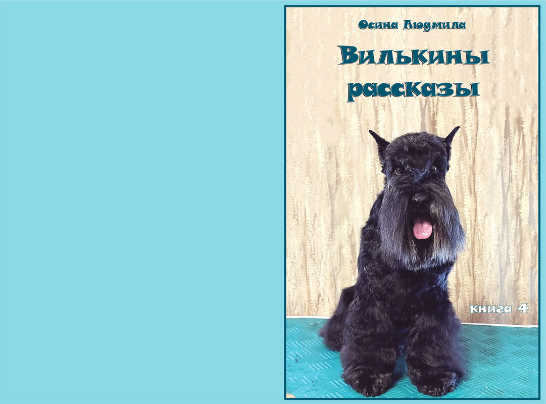 1027150 обложкаПоправки