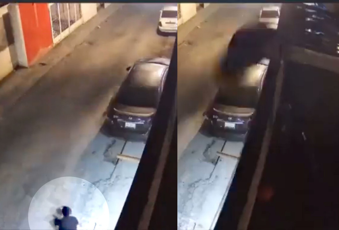 Perros frustran un robo, el asaltante terminó cayendo de la azotea