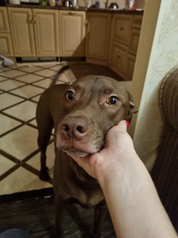 F5EA384F-ECB5-4E7A-A4F4-B3A02CD0CB19