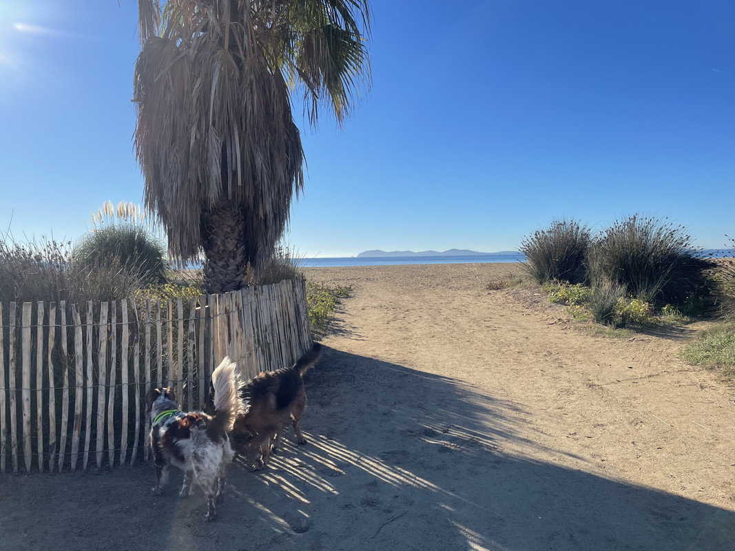 2B61FF9F-5728-4E77-8201-23C45B6208CB