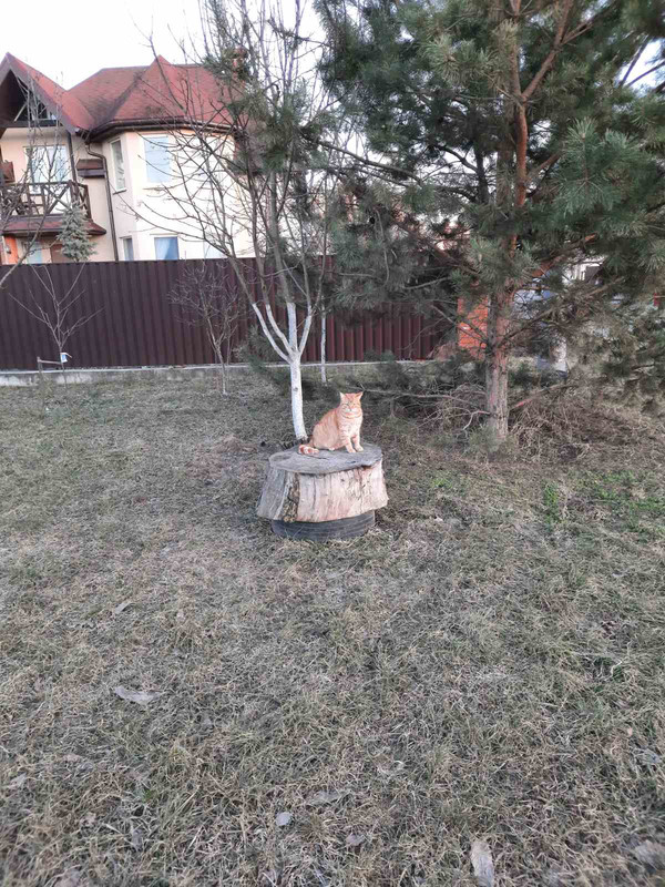 изображение_viber_2021-11-23_11-19-26-052