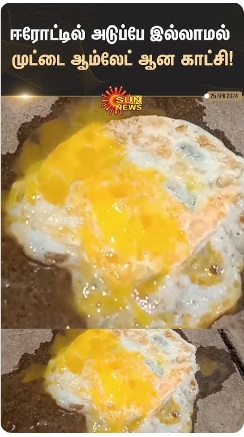 omlet.jpg