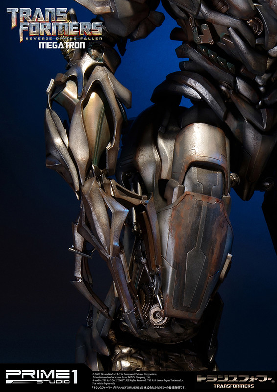 03211146_514a7495e6bca