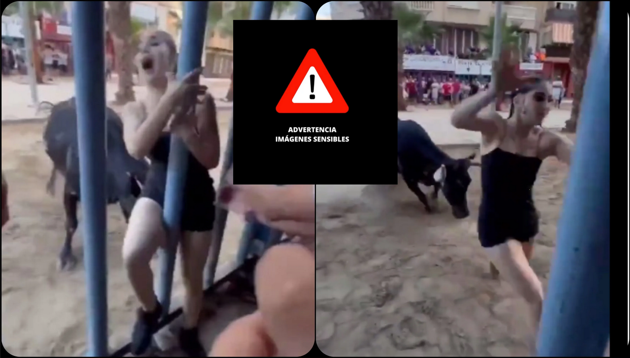 Toro persigue a una mujer hasta alcanzarla y lastimarla gravemente