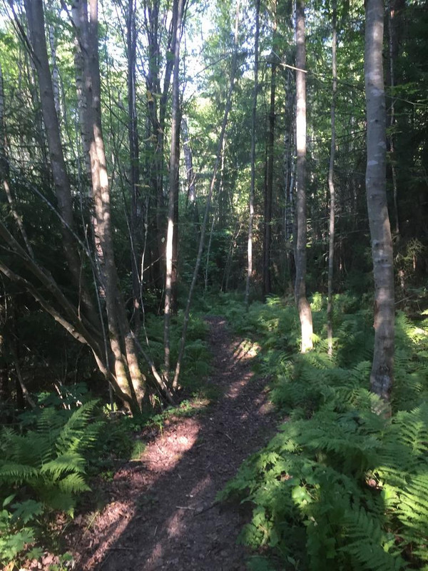 FF3A02CE-622C-4CD9-B565-1768EDC752D0