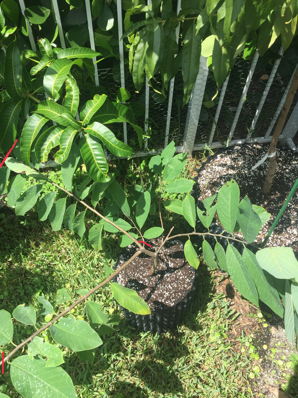 06DEB3D2-8A2B-47F5-973E-1CDC7866A85F