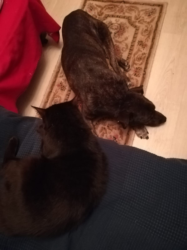 75C38B5C-053F-4AC2-A3D0-16A7B8D43A3C