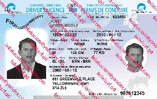 Canada - Northwest Territories (NT) Driving Licence_cleaned