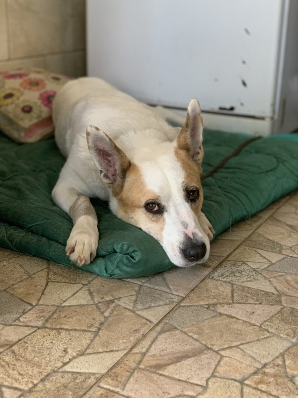 305FF64B-4538-47E7-BFED-87B05D9849A3