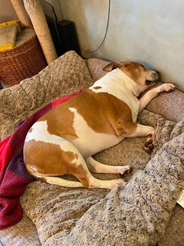 64254ADE-6277-45B3-924D-183337583DDF