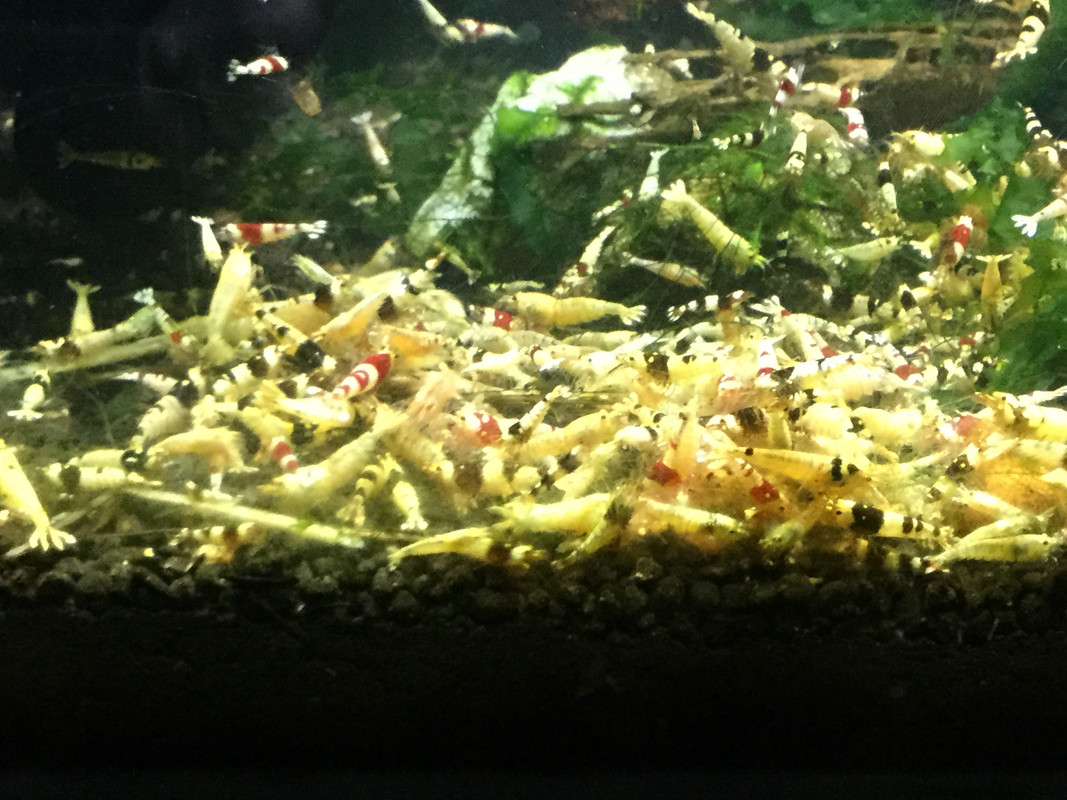 BF4EB452-6EFF-41E1-B445-8864D8F65EB8