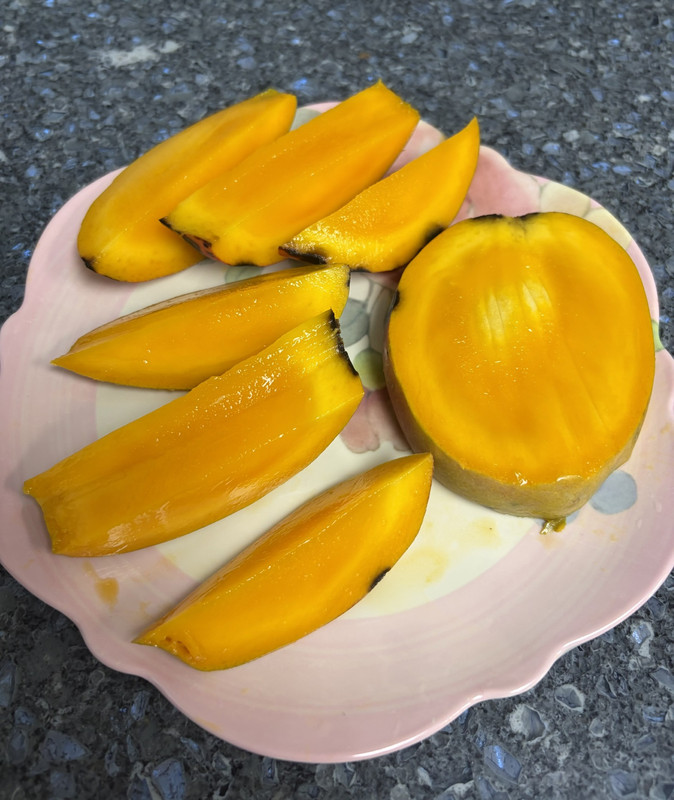 Zill mango3