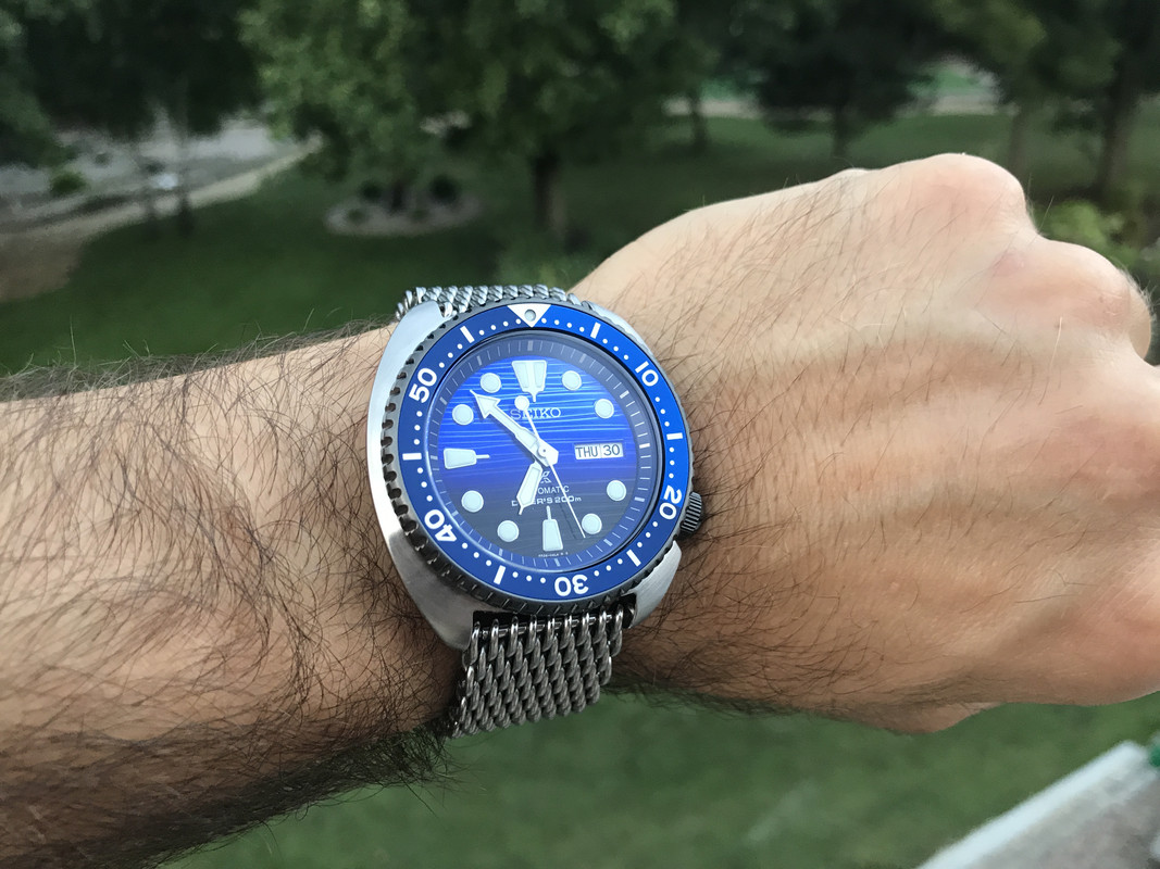 343F90A8-7161-46D1-A6E9-A4D5F9A0E17A