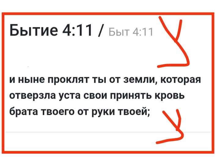 https://i.postimg.cc/bvsDt5pF/IMG-20231028-204213.jpg