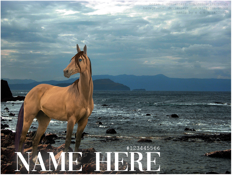 Sale-Photo-Ocean-sized.png