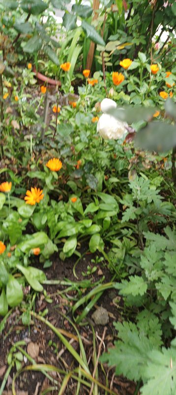 IMG_20230518_175126