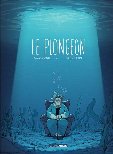 plongeon-Histoire-complete-Le-Severine-Vidal.jpg