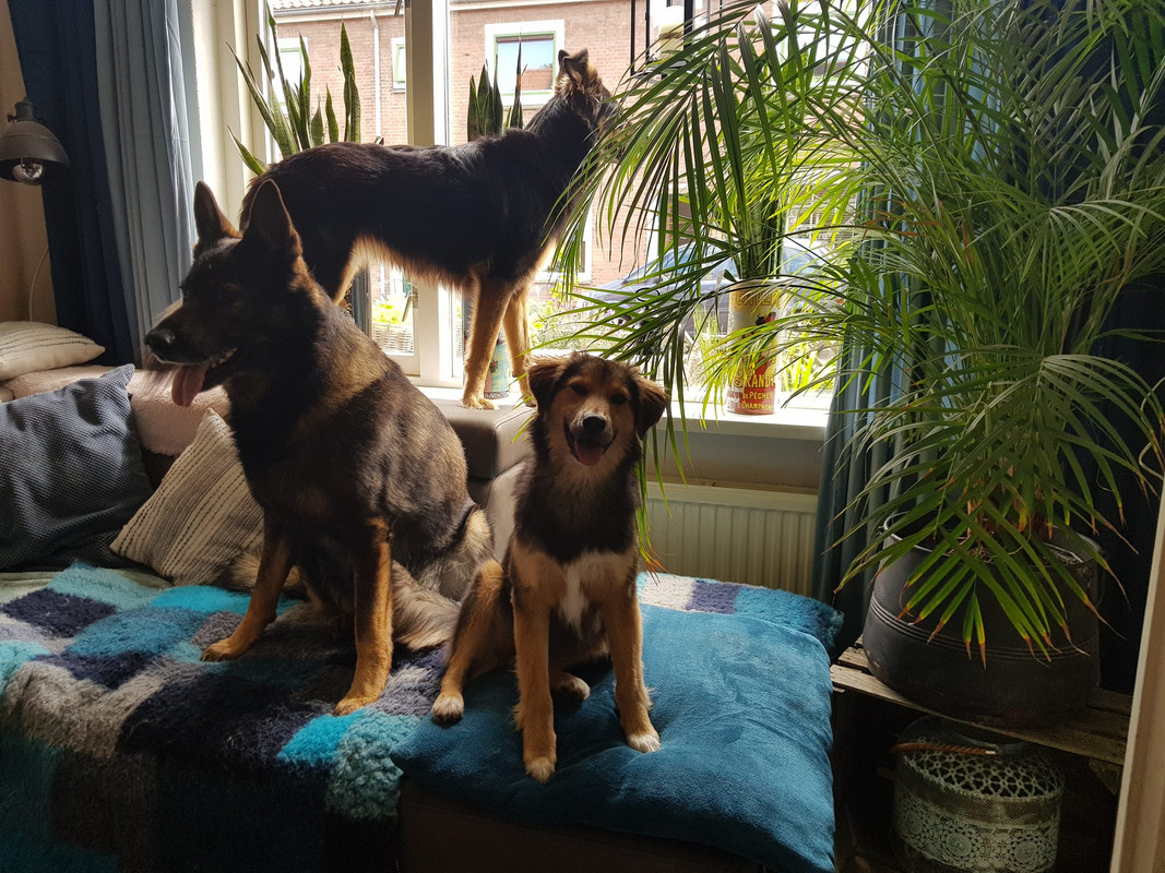 287573148_5321043521287076_1767867839992461851_n