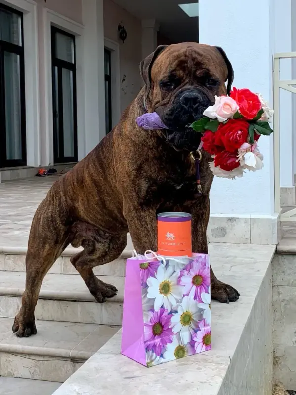 lRbglnoG26jcZvjM121nututiEevO51AQF4uCsQOF5q_HNpcMTQhrQIwXwOl_GGaBBWvSuEXUAk_fEF7wpvpu3LE