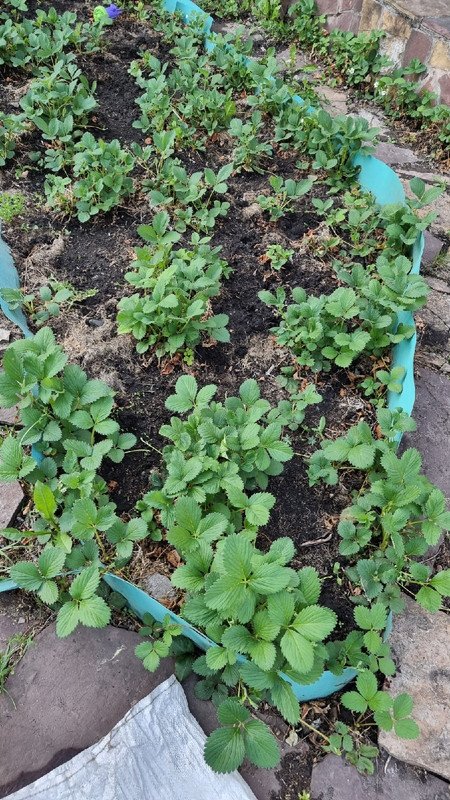 3S238eYkLBgZpLZI6RZ7QQ9d14mZJ2F9tCDIjgDk1LjdPCmP0QBZXzpxuGqebPpmVnCdnp9MAseFXNcjXPeTF9yt