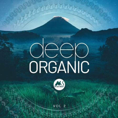 VA - Deep Organic Vol.2 (2023)