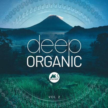 956346a6 29ad 4c50 9a7a e75f11f0ceb5 - VA - Deep Organic Vol.2 (2023)