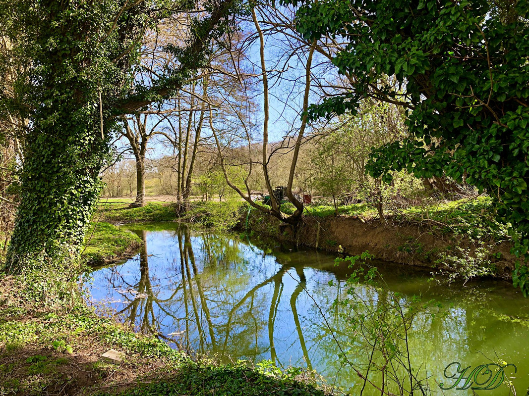 IMG-9706-stream-HD.jpg