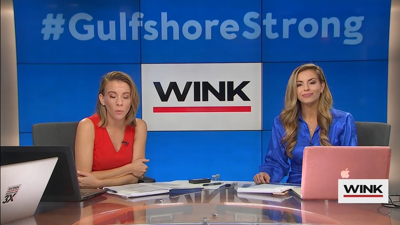 10.09 - 13.00.00 - WINK News at 8 00AM  ᴺᵉʷ..ts_snapshot_00.37.56.363