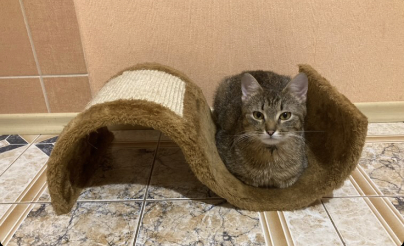 8EFB7D65-C671-4954-B8B0-2EB295212BD5