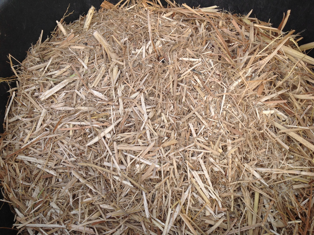 Häcksel Material 1.04.16 (9)