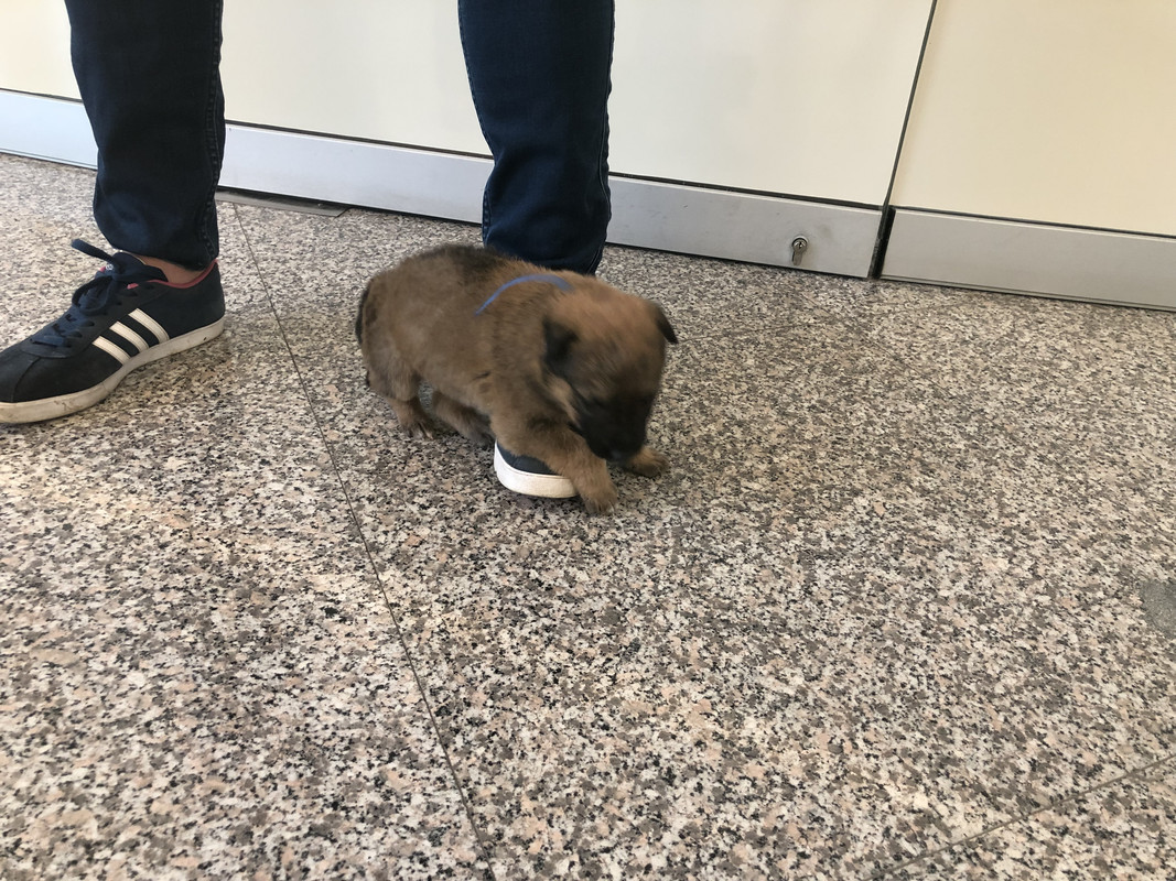 56E5BCE7-9854-49A3-B4AB-66DE32DE3E74