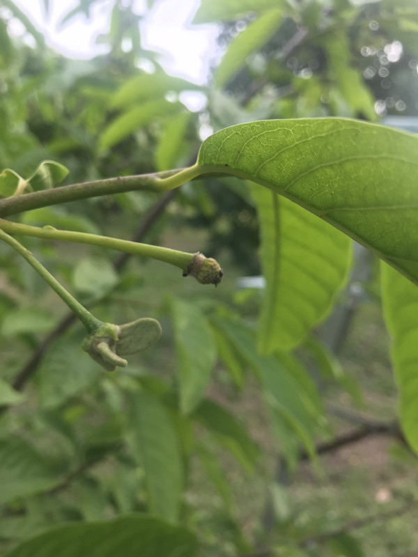 C00D1234-0E4C-4C99-A26E-E906D79082A1