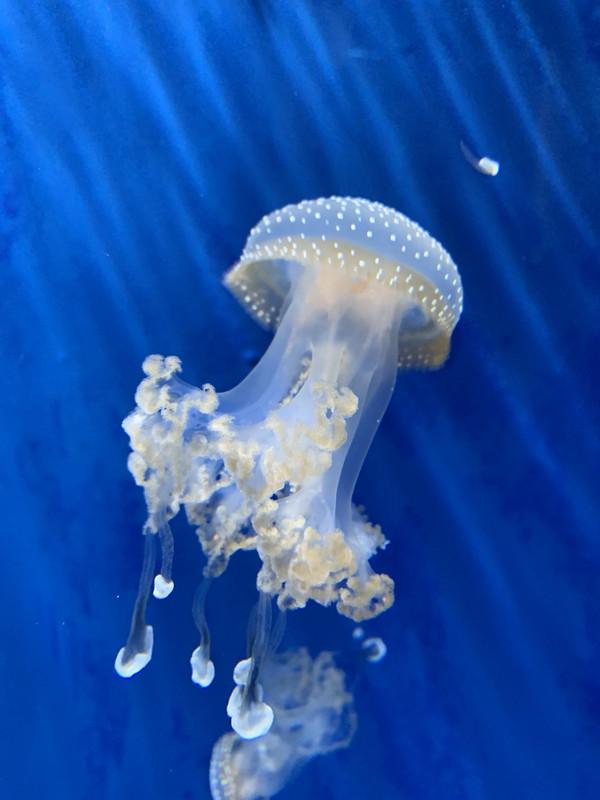 97022AA6-FC25-41CC-B1C3-449652378B51