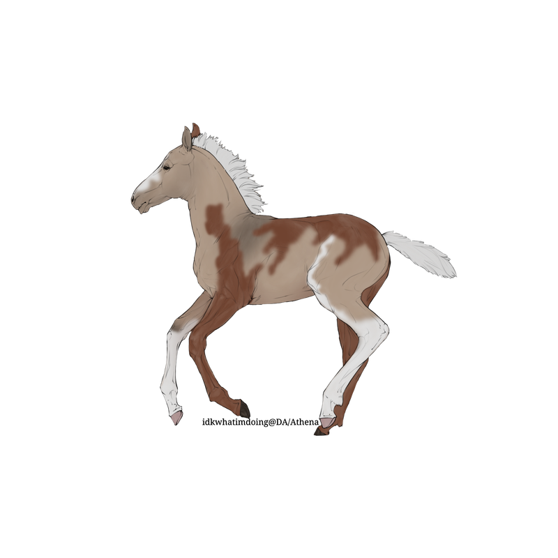 Untitled88-20250728200318.png