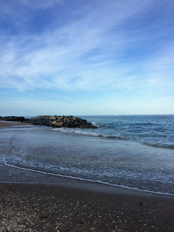 Bradley Schnickel (8)