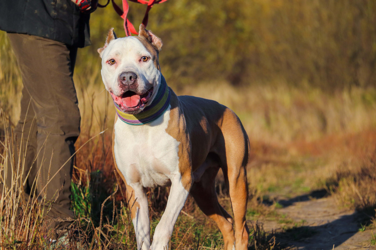 B65C413C-DDCC-4D2C-938B-FB918EB2F9DC