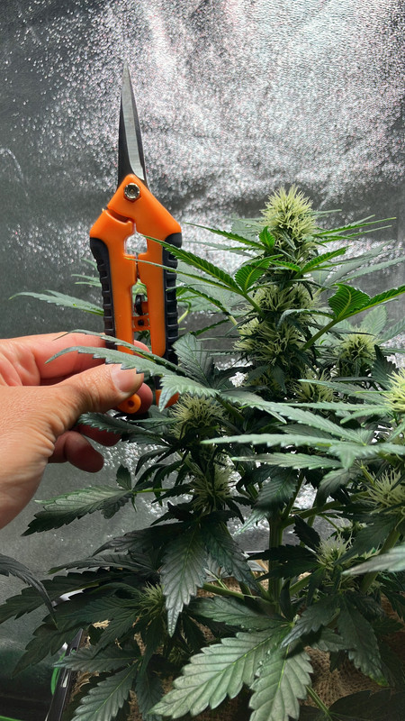 04FF5747-226B-41AA-94BE-A4C0BB87C4CF