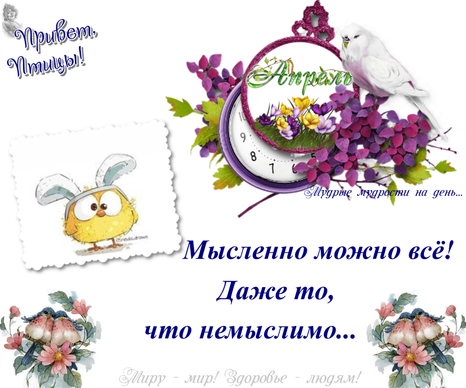 https://i.postimg.cc/bvvLnrs9/07-04.png