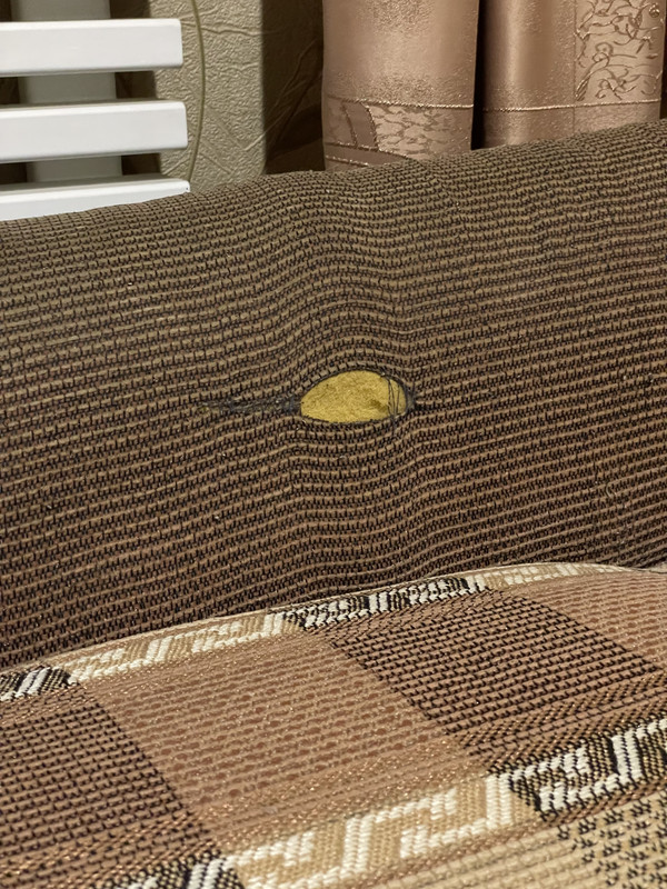 0EB60B12-C2F4-4319-B952-3091104CF6F9