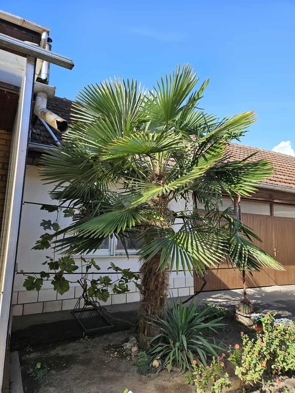 1907ec8b 1783 4e4a 9848 59749eac9c67