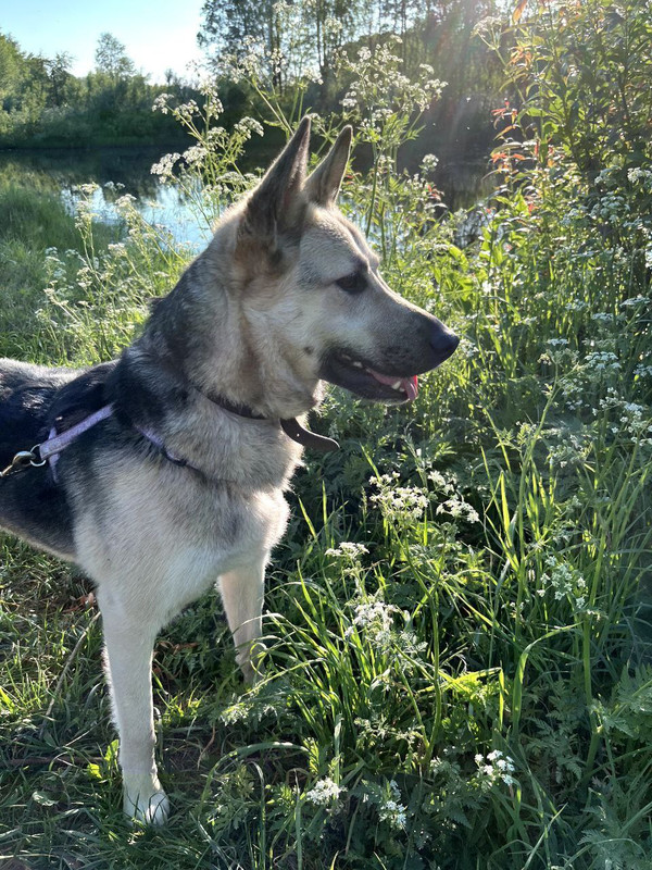 IMG_20241102_001336_021